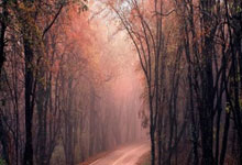 多多28:中国女排名将朱婷:在祖国比赛的感觉与众不同中国新闻网.