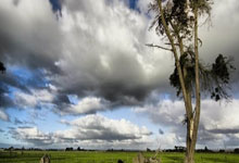 多多28：八人得分上双！火箭狂轰148分 刷新球队本赛季单场得分纪录.