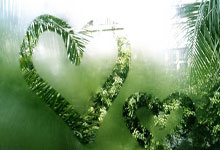 多多28：中国女排名将朱婷：在祖国比赛的感觉与众不同中国新闻网.