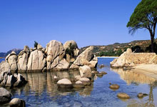 多多28：[天下足球]哈兰德破门 曼城小胜南安普敦.